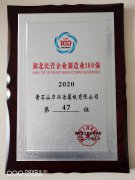 2020年度湖北民营企业制造业100强（第47位）