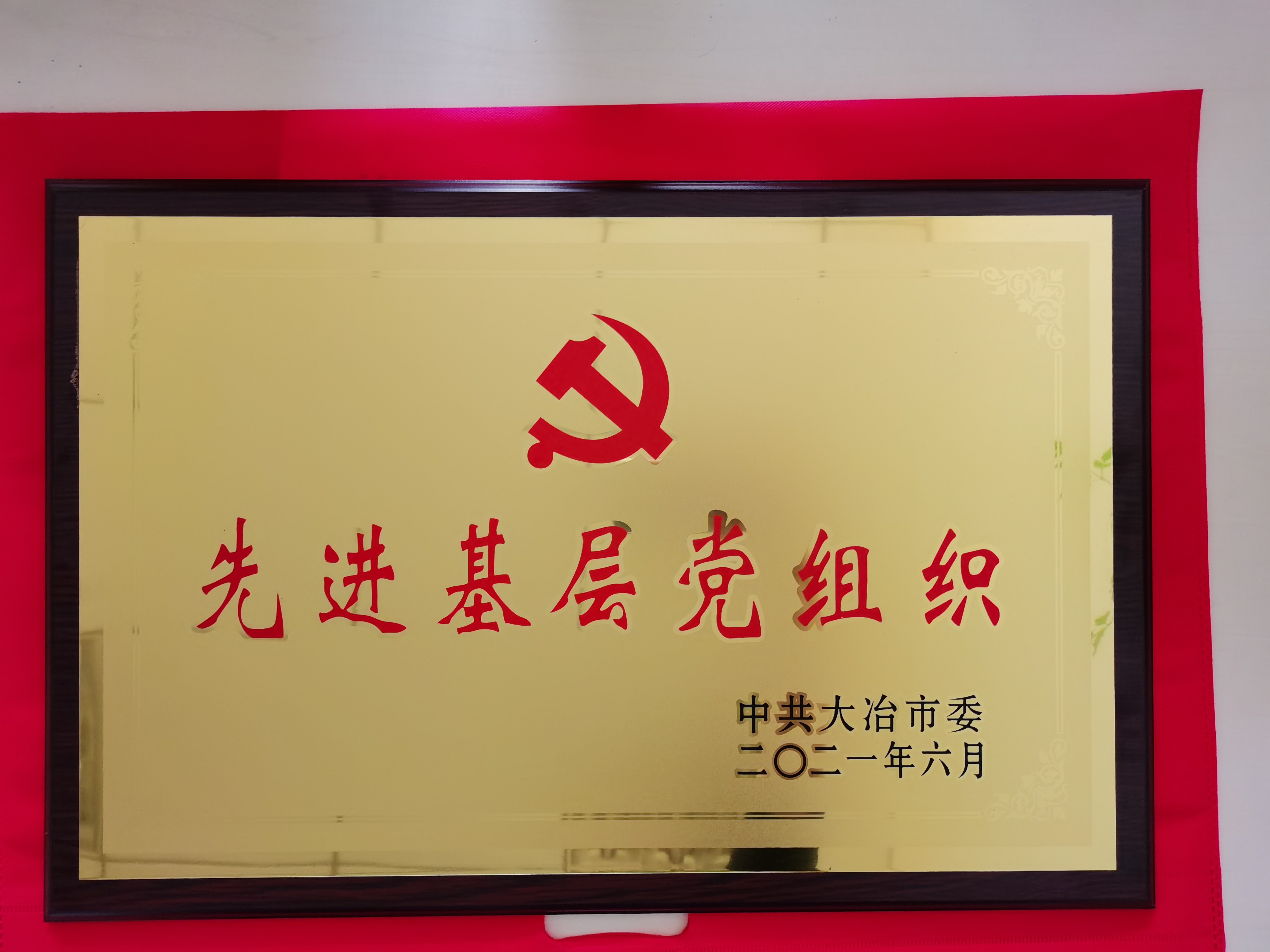 先进基层党组织